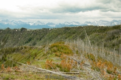 Looking south at the effects of westerly winds
