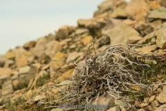 Prarie-Bluff-4-of-43