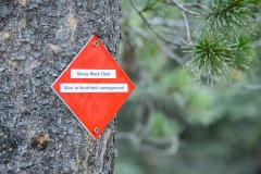 Square_Butte-3